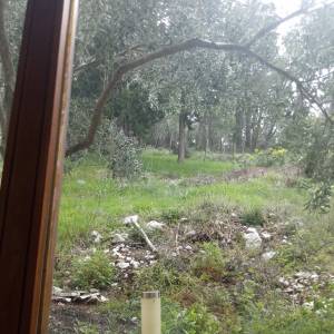 Odlicna kuca na Policama, Trebinje