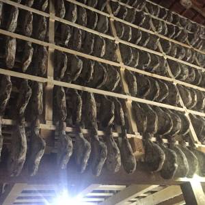 TEST --- PRSUT DVOGODISNJI ,proizveden na tradicionalan nacin