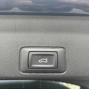 CUPRA Terramar 1.5 TSI mHEV DSG