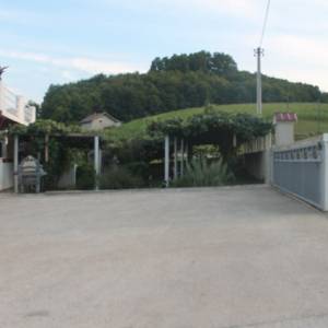 Ranč u dalmatinskom stilu V. Kladuša