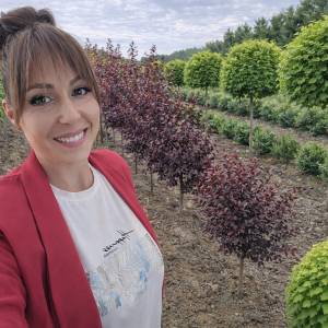 Ukrasne i vocne sadnice Rasadnik Prestiž