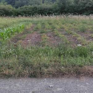 Vrlo povoljna 2 zemljišta za kuću