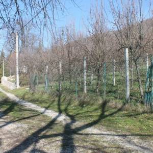 Zemljište sa voćnjakom Pritoka-Sniženo