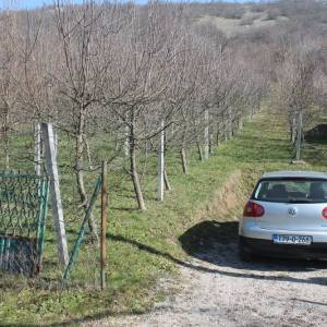 Zemljište sa voćnjakom Pritoka-Sniženo