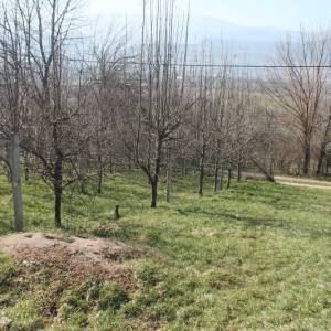 Zemljište sa voćnjakom Pritoka-Sniženo