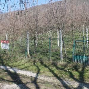 Zemljište sa voćnjakom Pritoka-Sniženo