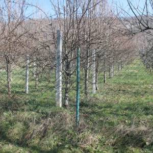 Zemljište sa voćnjakom Pritoka-Sniženo