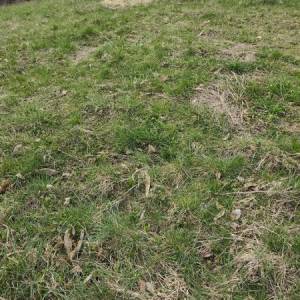 Zemljište za gradnju Skokovi - Cazin