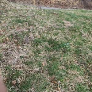 Zemljište za gradnju Skokovi - Cazin