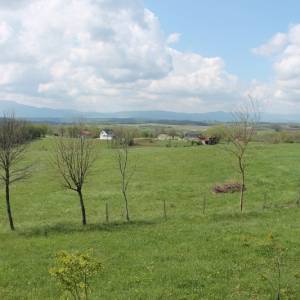 Useljiva kuća blizina lječilišta Gata