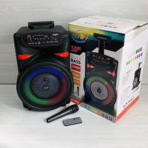 Bezicni Bluetooth Zvucnik Sa Mikrofonom Blutu Karaoke