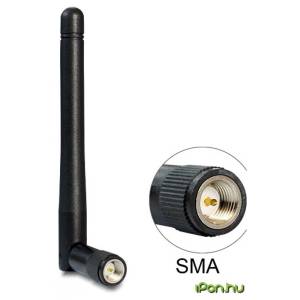 DELOCK 89437 WLAN 802.11 ac/a/h/b/g/n Antenna SMA 2 dBi omnidirec