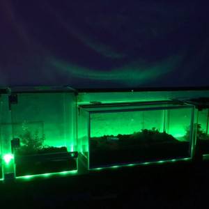 LED Trake Traka RGB Usb Set 5m 5 m 3m Daljinskim TV