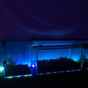 LED Trake Traka RGB Usb Set 5m 5 m 3m Daljinskim TV