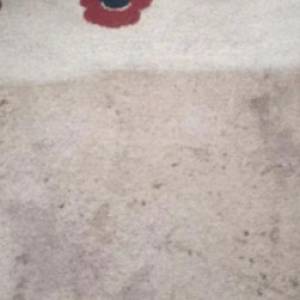 Profesionalni Usisivac Za Dubinsko Ciscenje Pranje Tepiha Auta