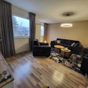 LUXUZNO OPREMLJEN TROSOBNI APARTMAN CAZIN NAJAM STAN NA DAN