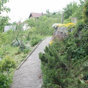 Kuća u Cazinu kod bolnice
