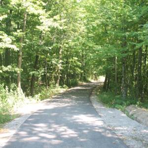 Zemljište sa šumom - Cazin Begove Kafane