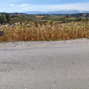 Zemljište za gradnju Puškari-Cazin