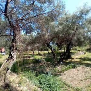 Herceg Novi, građevinski placevi na 1.7 km od centra