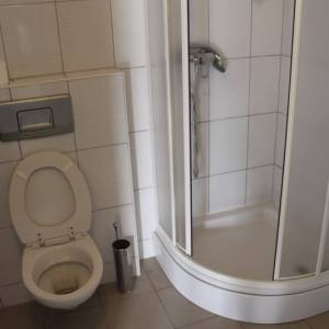 Posjed - ranč sa luxuznom kućom i voćnjakom Bihać